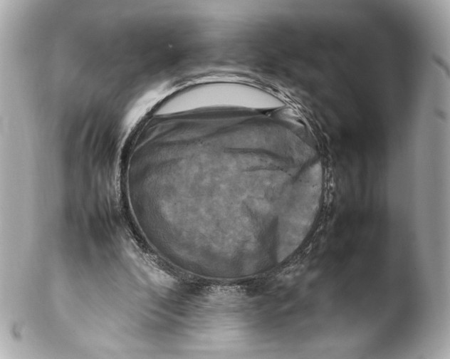 X0000102250296200808151823