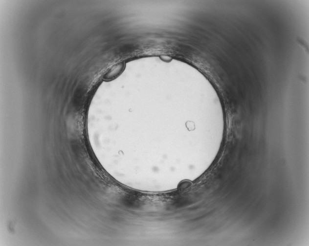 X0000102250297200808151823