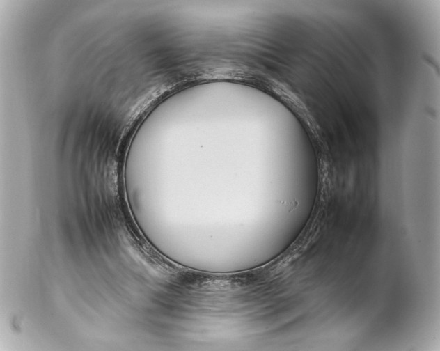 X0000102250298200808151823