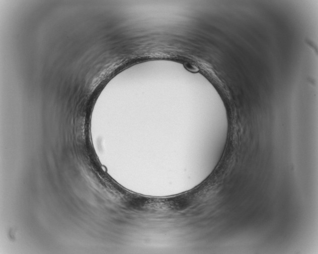 X0000102250299200808151823