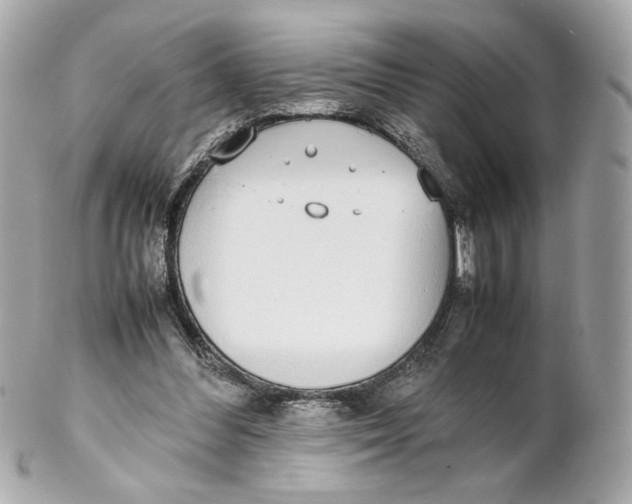 X0000102250300200808151823