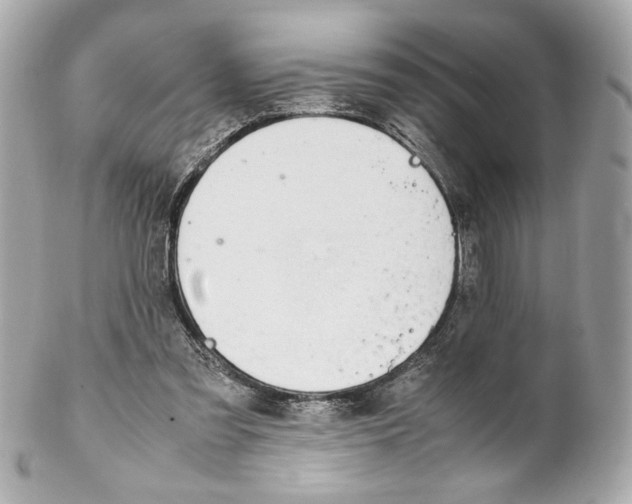 X0000102250301200808151823