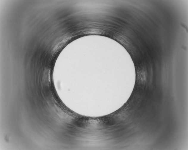 X0000102250302200808151823
