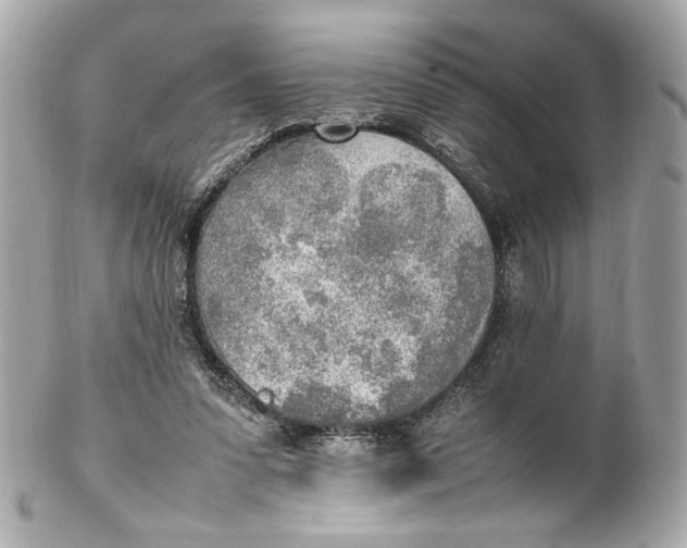 X0000102250303200808151823