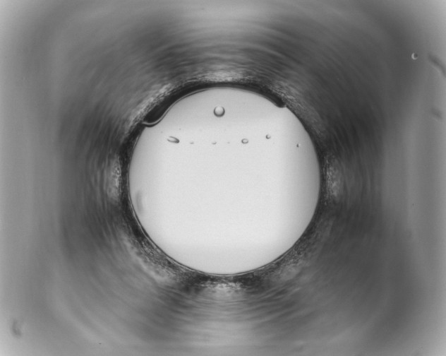 X0000102250304200808151823