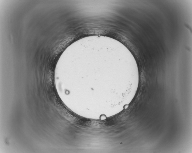 X0000102250305200808151823