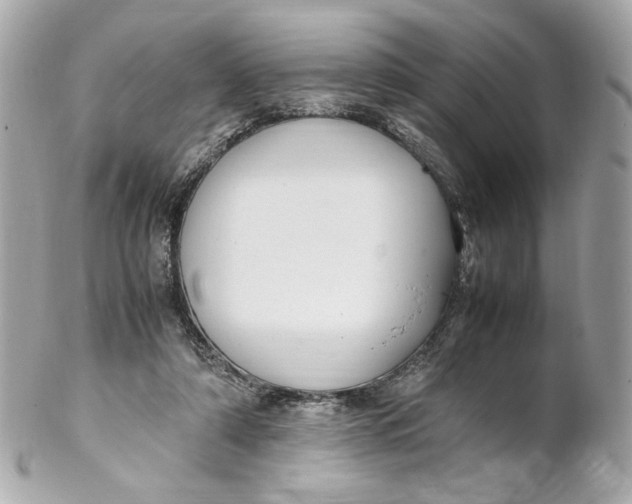 X0000102250306200808151823