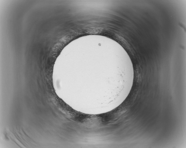 X0000102250307200808151823