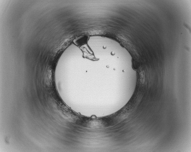 X0000102250308200808151823