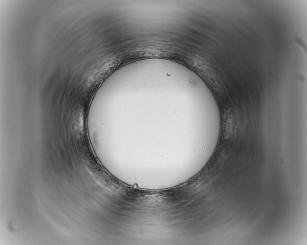 X0000102250310200808151823