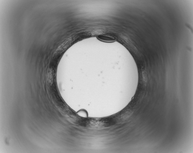 X0000102250311200808151823