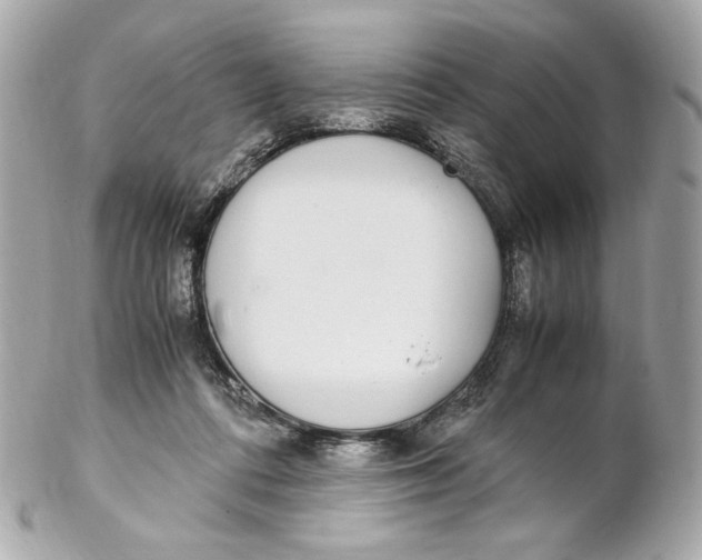 X0000102250312200808151823