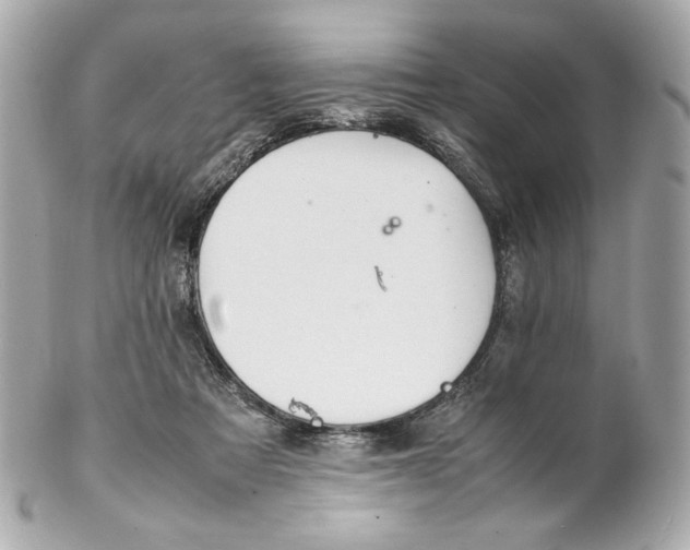 X0000102250313200808151823
