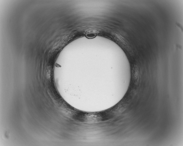 X0000102250315200808151823