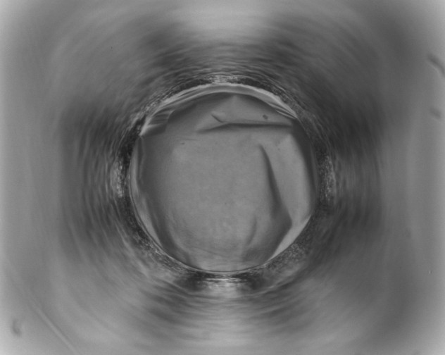 X0000102250316200808151823