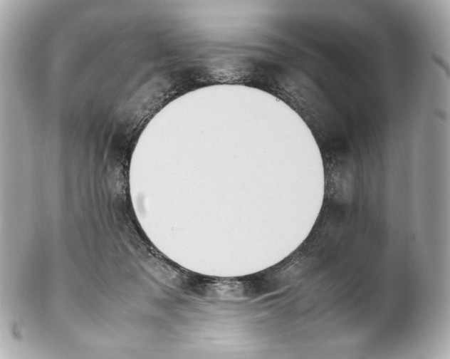 X0000102250317200808151823