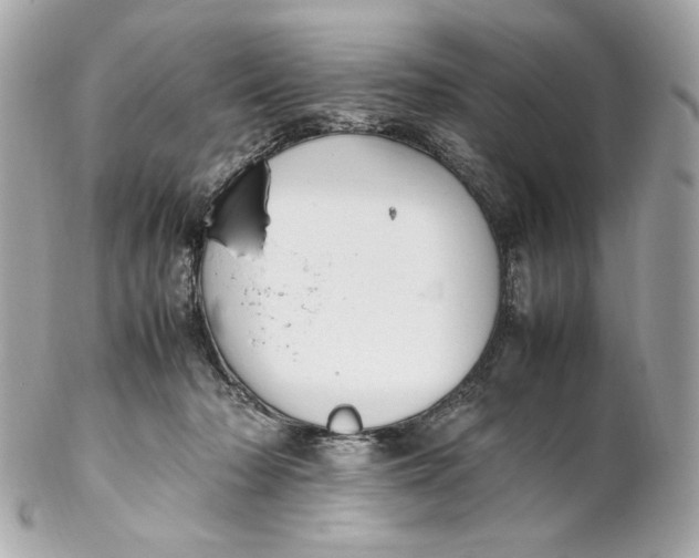 X0000102250318200808151823