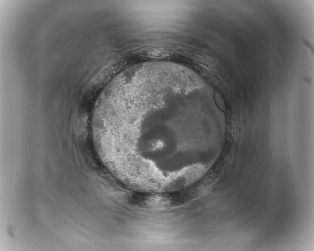 X0000102250319200808151823