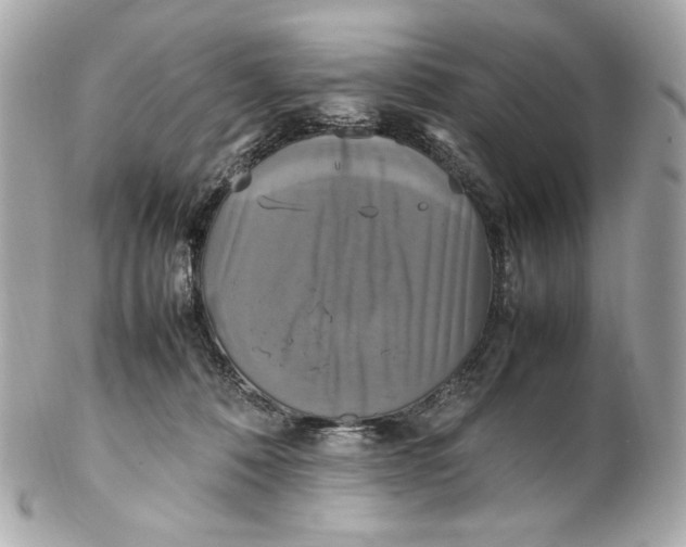 X0000102250320200808151823