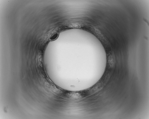 X0000102250322200808151823