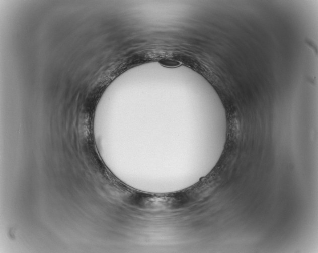 X0000102250323200808151823