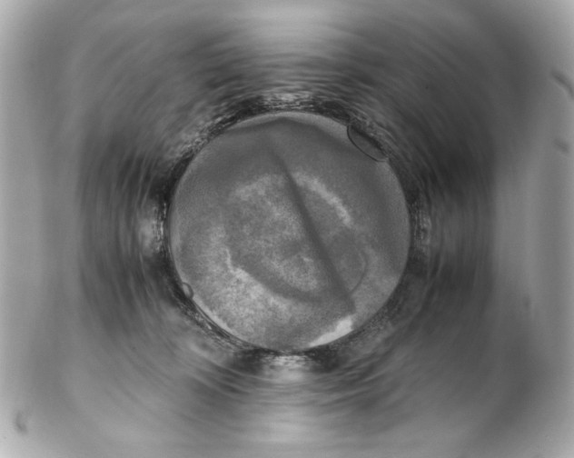 X0000102250324200808151823
