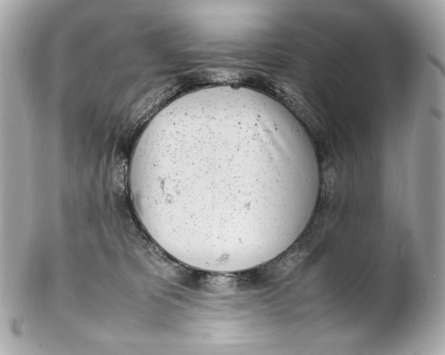 X0000102250325200808151823