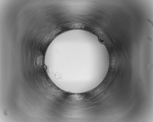 X0000102250326200808151823