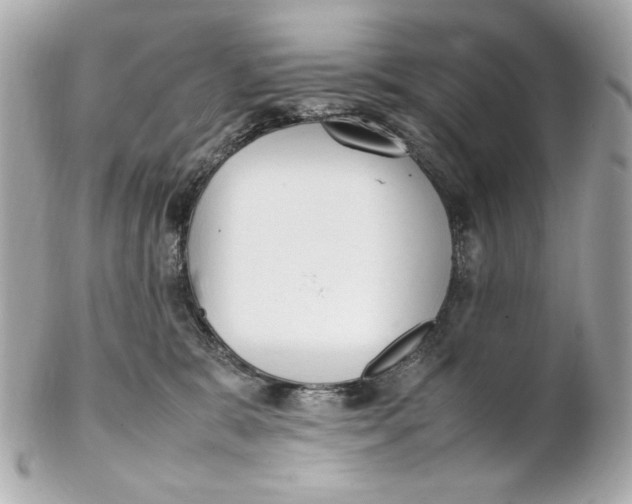 X0000102250327200808151823