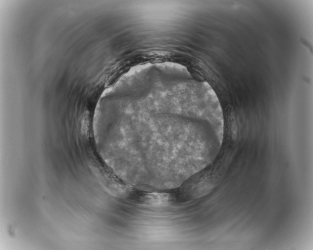 X0000102250328200808151823