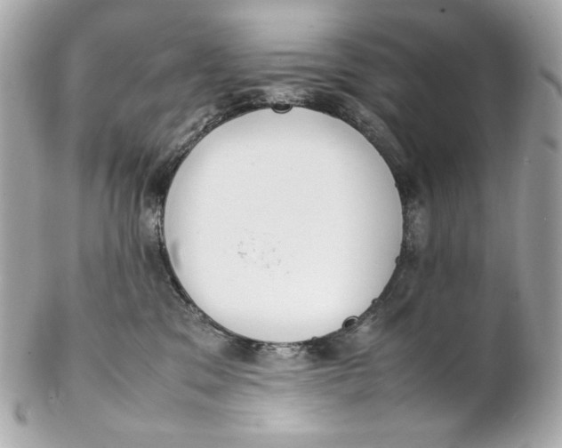X0000102250329200808151823