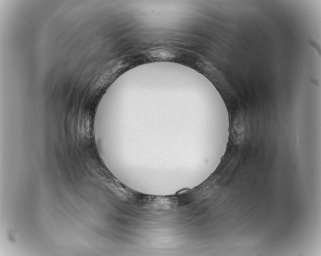 X0000102250330200808151823