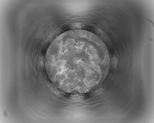 X0000102250331200808151823