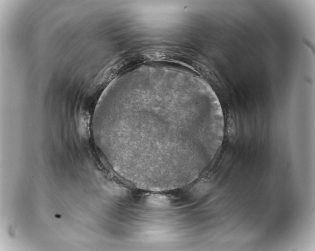 X0000102250332200808151823