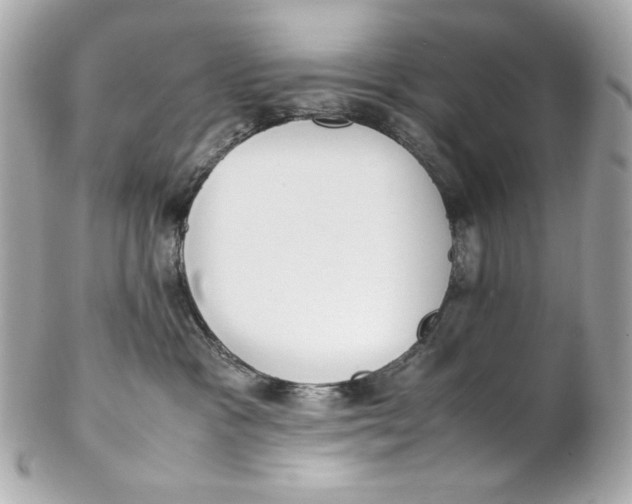 X0000102250333200808151823