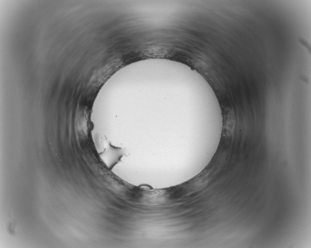 X0000102250334200808151823
