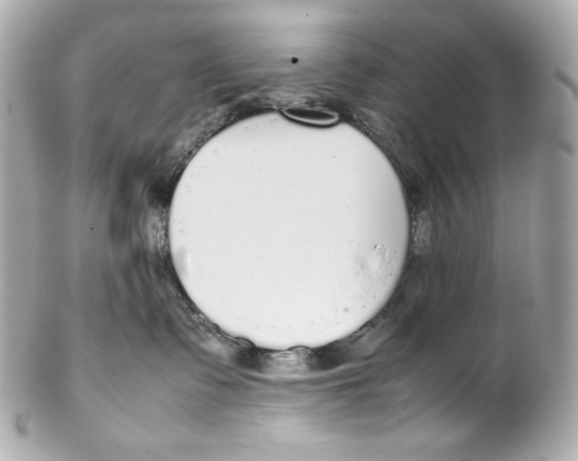 X0000102250335200808151823