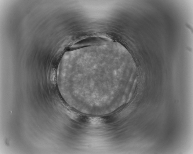 X0000102250336200808151823