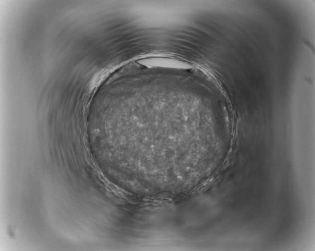 X0000102250337200808151822