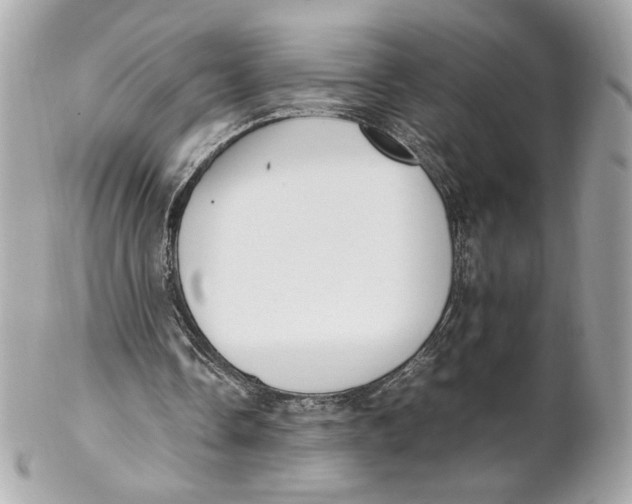 X0000102250338200808151822