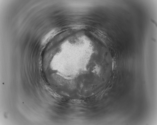 X0000102250339200808151822