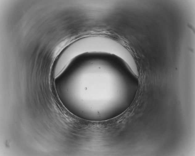 X0000102250340200808151822