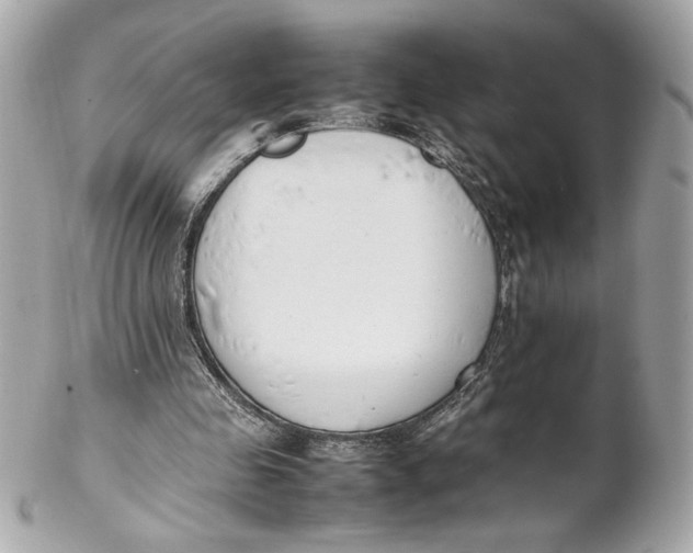 X0000102250341200808151822