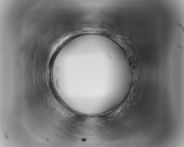 X0000102250342200808151822