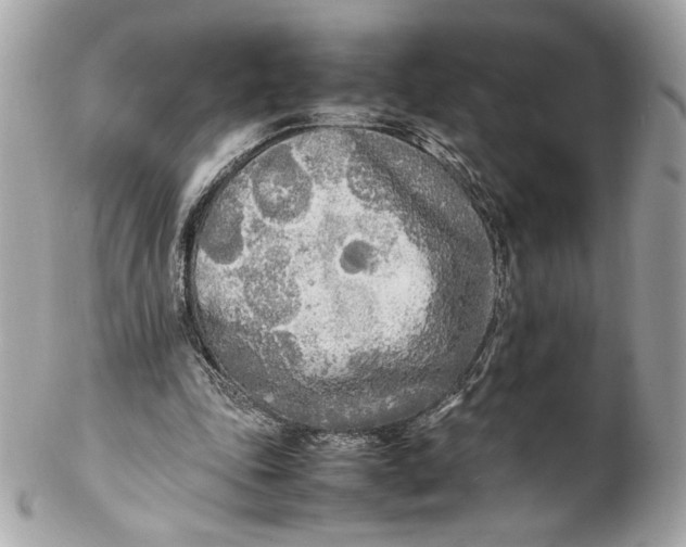 X0000102250343200808151822