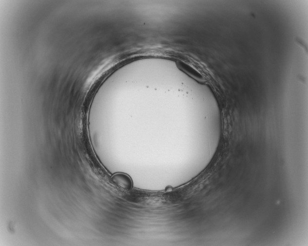 X0000102250344200808151822