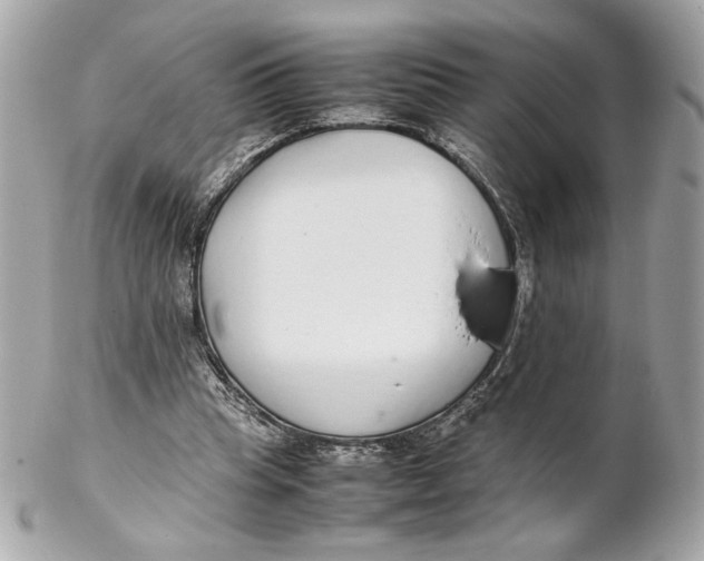 X0000102250345200808151822