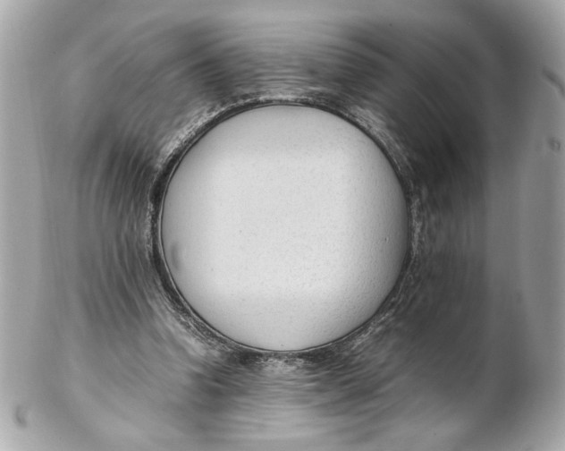 X0000102250346200808151822