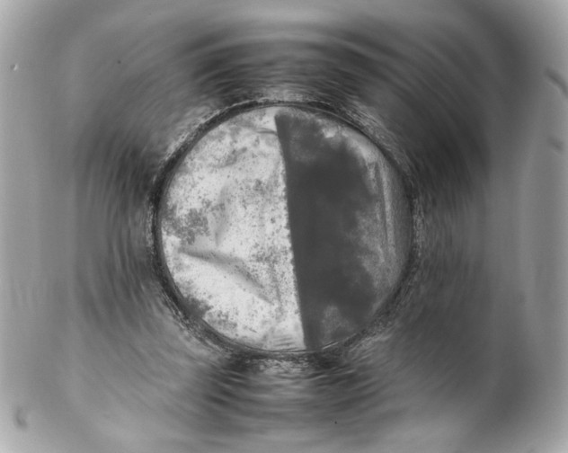 X0000102250347200808151822