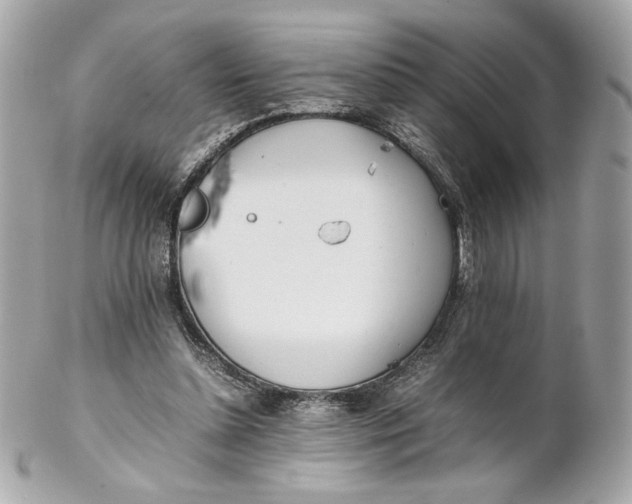 X0000102250348200808151822